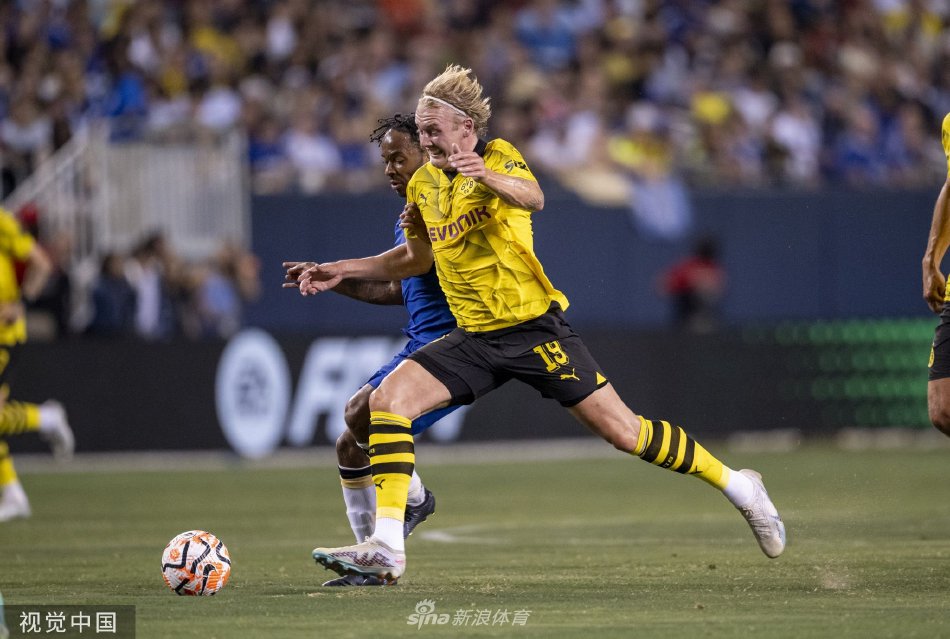 的职业历程 的职业历程